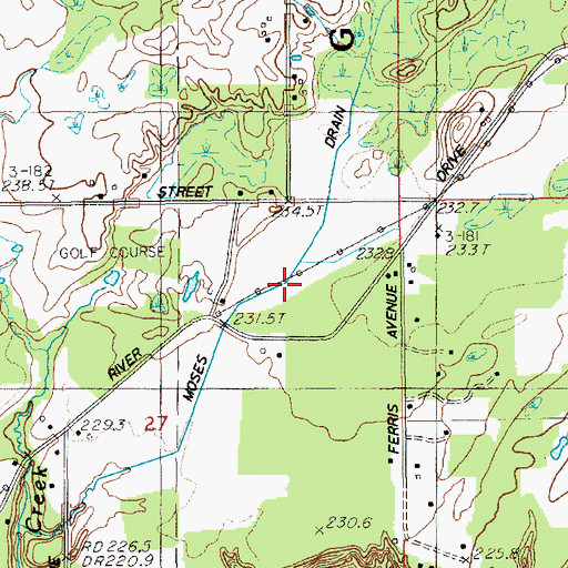 Topographic Map of Moses Drain, MI