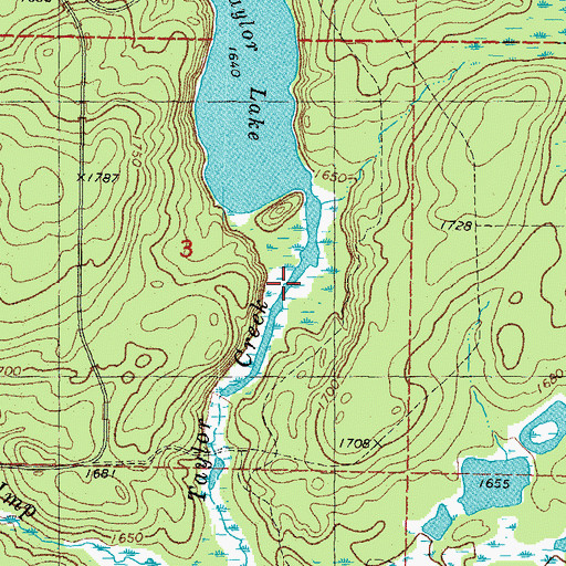 Topographic Map of Taylor Creek, MI