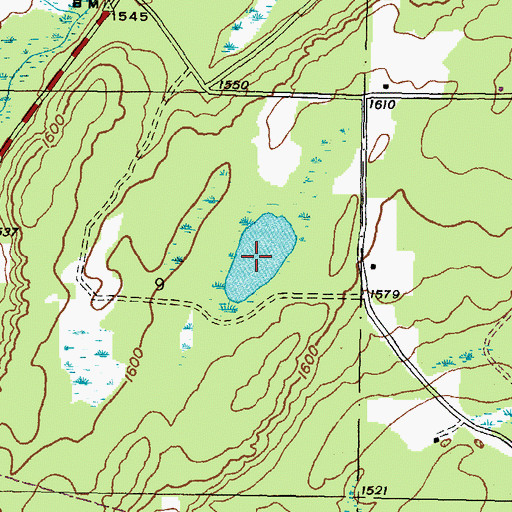 Topographic Map of Webb Lake, MI