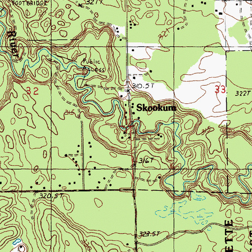 Topographic Map of Skookum Bridge, MI