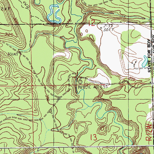 Topographic Map of Lincoln Bridge Canoe Access, MI