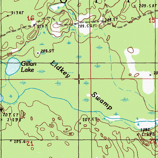 Topographic Map of Lidkey Swamp, MI