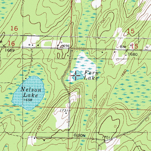 Topographic Map of Fern Lake, MI