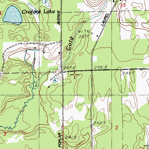 Topographic Map of Newaygo Experimental Forest, MI