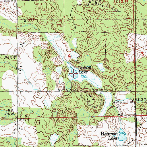 Topographic Map of Nelson Lake, MI