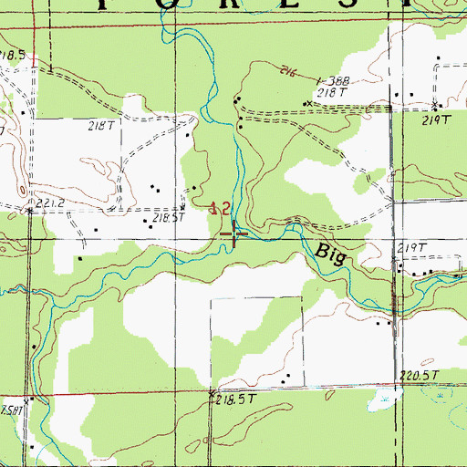 Topographic Map of Little Sable River, MI