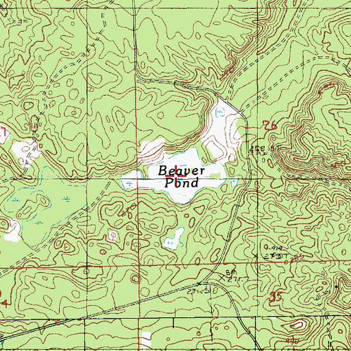 Topographic Map of Beaver Pond, MI