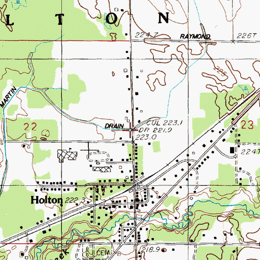 Topographic Map of Martin Drain, MI