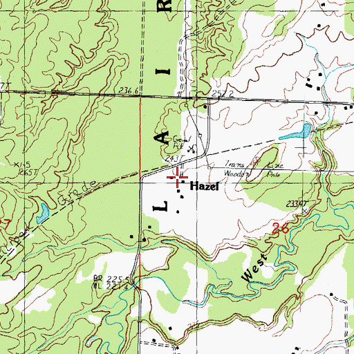 Topographic Map of Hazel, MI