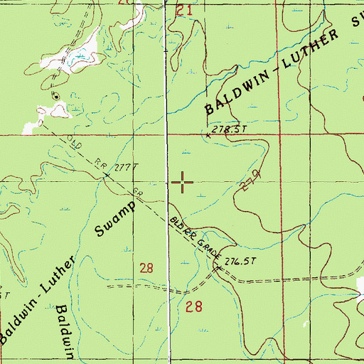 Topographic Map of Baldwin Luther Swamp, MI