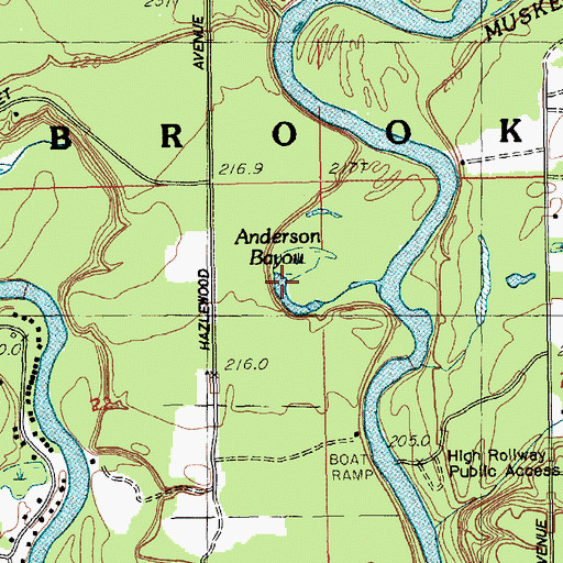 Topographic Map of Anderson Bayou, MI