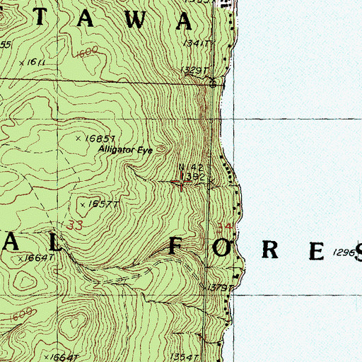 Topographic Map of Alligator Eye Trail, MI