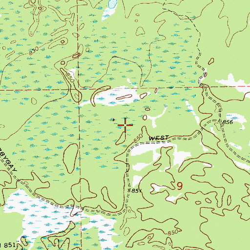Topographic Map of Beaver Pond, MI