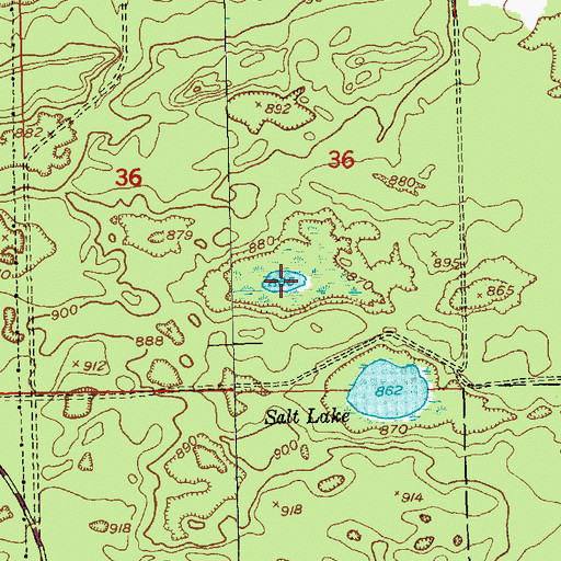 Topographic Map of Little Salt Lake, MI