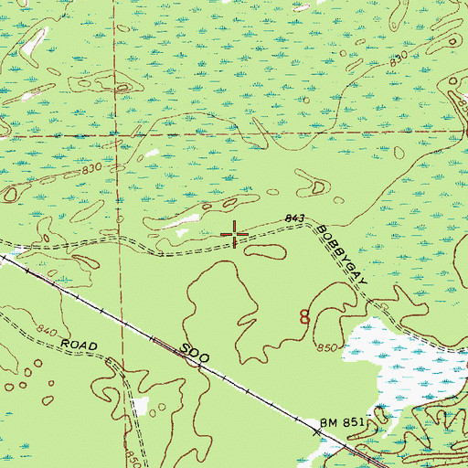 Topographic Map of Beaver Pond, MI