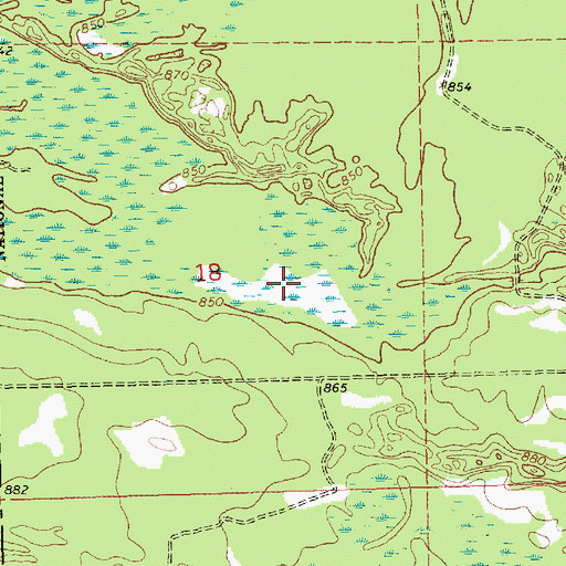 Topographic Map of Beaver Pond, MI