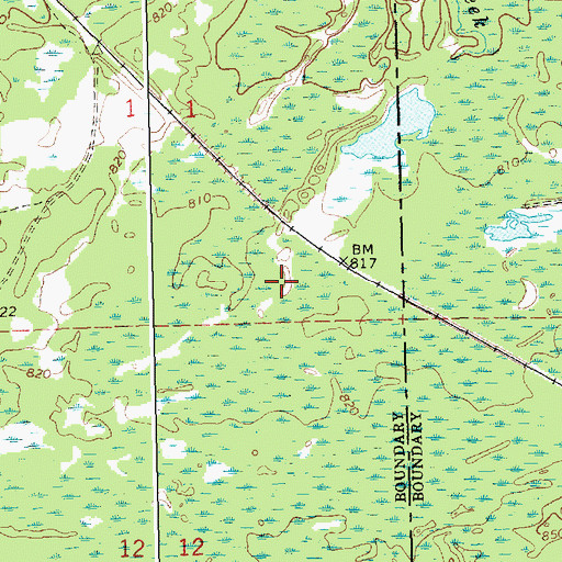 Topographic Map of Beaver Pond, MI