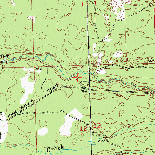 Topographic Map of Pine River Primitive Campground, MI