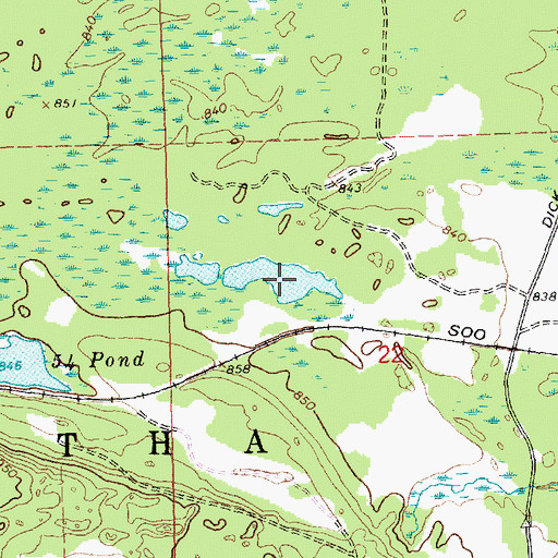 Topographic Map of Big Bear Ponds, MI