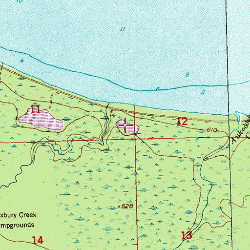 Topographic Map of Roxbury Pond, MI