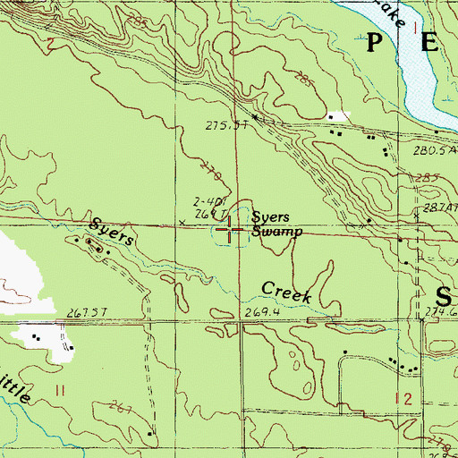 Topographic Map of Syers Swamp, MI