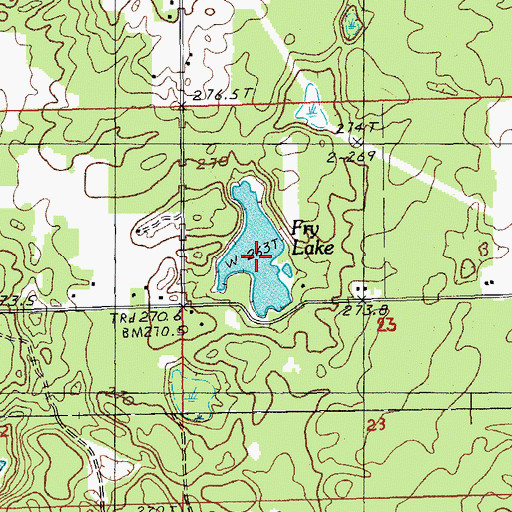 Topographic Map of Fry Lake, MI
