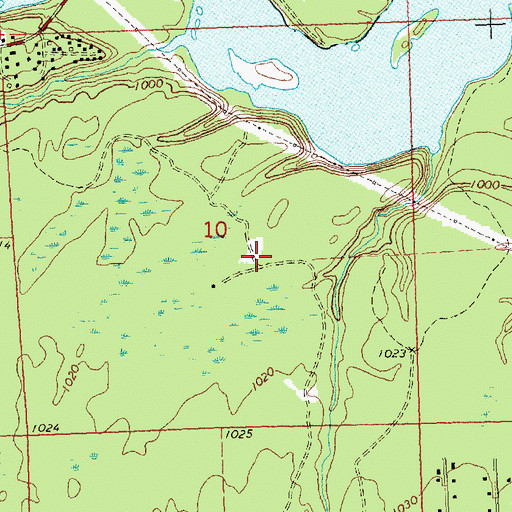 Topographic Map of Walleye Rearway Pond, MI