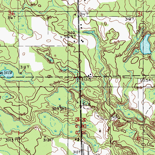 Topographic Map of Mecosta County, MI