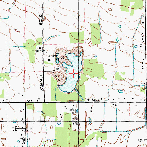 Topographic Map of Boss Lake, MI
