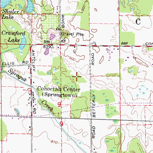 Topographic Map of Cohoctah Center, MI