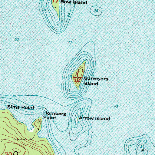 Topographic Map of Surveyors Island, MI