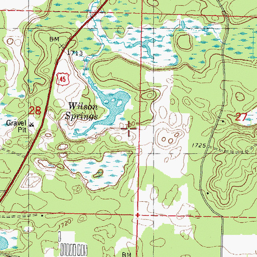 Topographic Map of Wilson Springs, MI