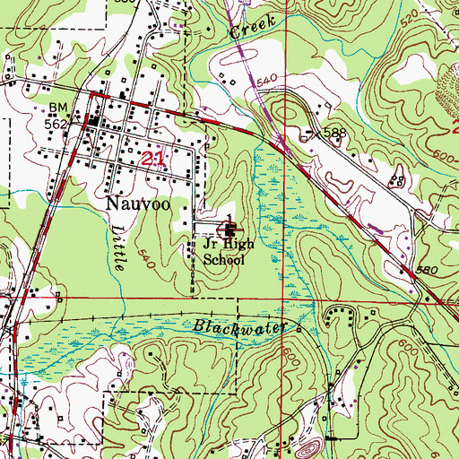 Topographic Map of Nauvoo Junior High School (historical), AL