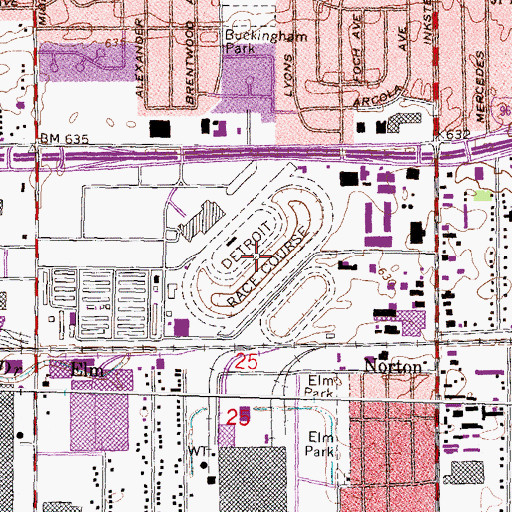 Topographic Map of Detroit Race Course, MI