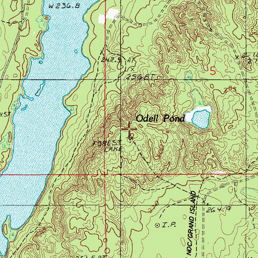 Topographic Map of Forest Lake Lookout Tower, MI