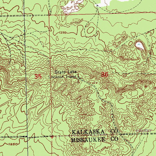 Topographic Map of Grass Lake Lookout Tower, MI