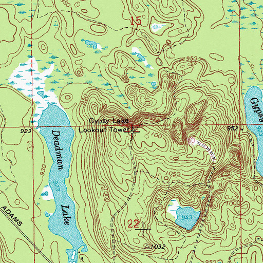 Topographic Map of Gypsy Lake Lookout Tower, MI