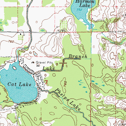 Topographic Map of Lake Branch, MI