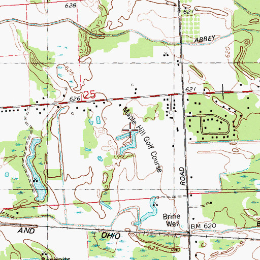 Topographic Map of Maple Hill Golf Course, MI