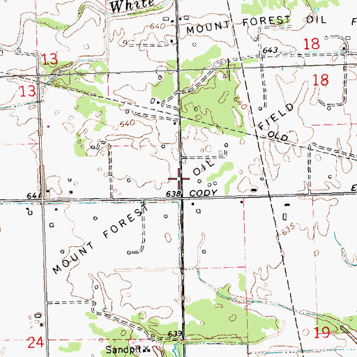 Topographic Map of Mount Forest Oil Field, MI