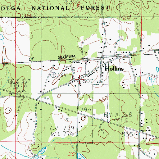Topographic Map of Hollins Baptist Church, AL