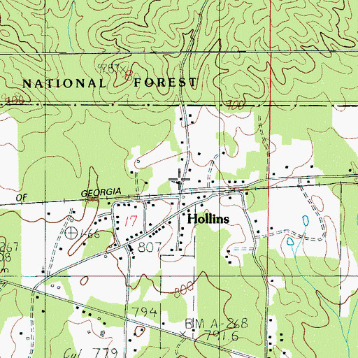 Topographic Map of Hollins Church of Christ, AL