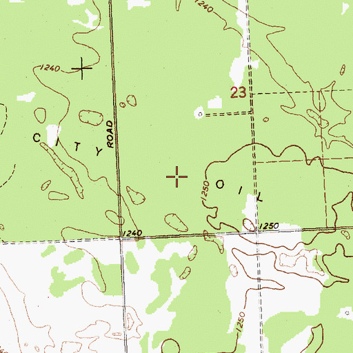 Topographic Map of Rose City Oil Field, MI