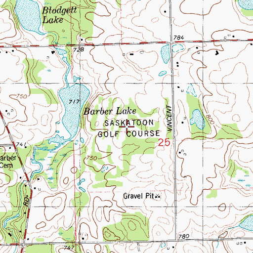Topographic Map of Saskatoon Golf Course, MI