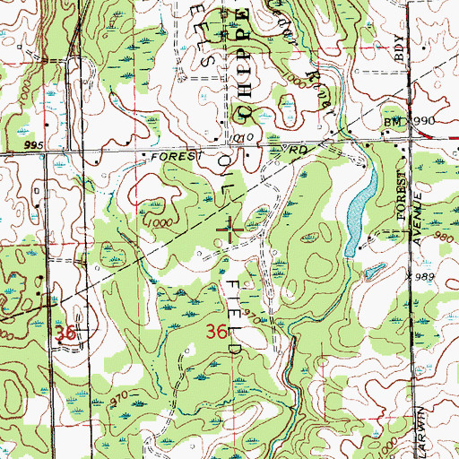 Topographic Map of Skeels Oil Field, MI