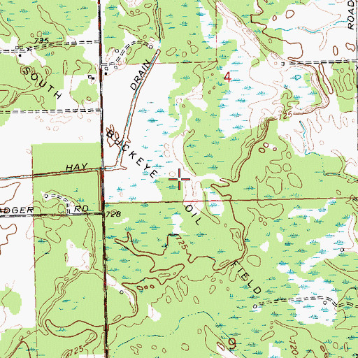 Topographic Map of South Buckeye Oil Field, MI