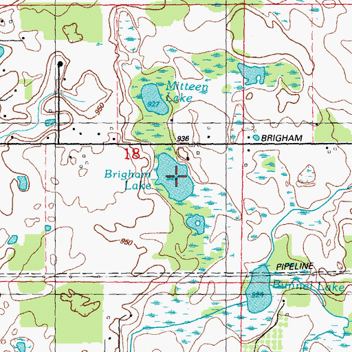 Topographic Map of Brigham Lake, MI