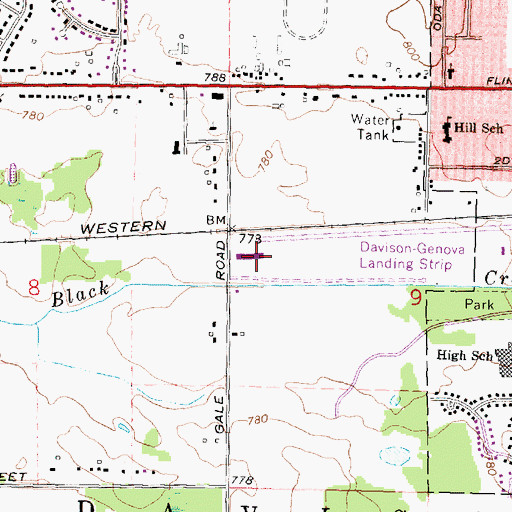 Topographic Map of Athelone Williams Memorial Airport, MI