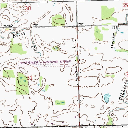 Topographic Map of Hoerners Corners Airport, MI