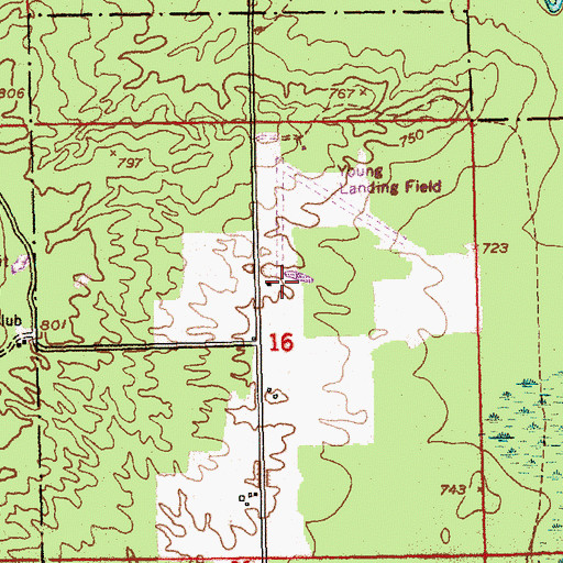 Topographic Map of Young's Airport, MI